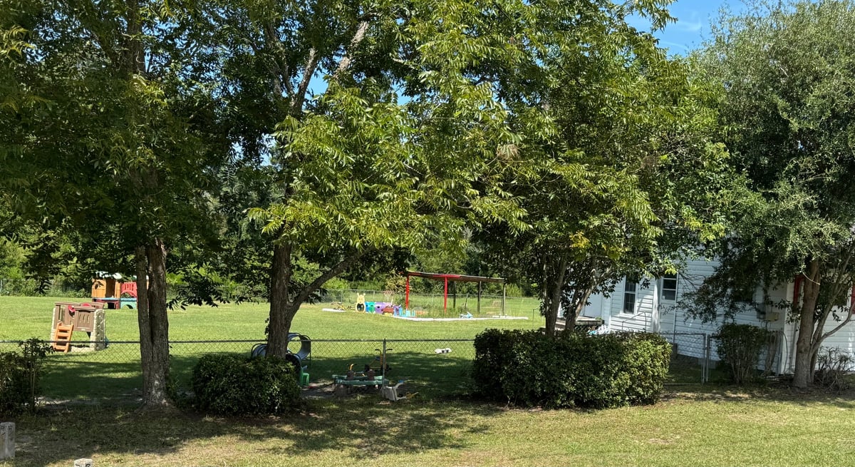 Shaded backyard with large trees, playground equipment, and house visible under blue sky